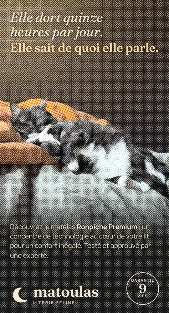 Publicité parodique : Barbara, une chatte, dort sur un oreiller. « Elle dort quinze heures par jour. Elle sait de quoi elle parle. » Matelas Ronpiche Premium, marque Matoulas, garantie 9 vies.